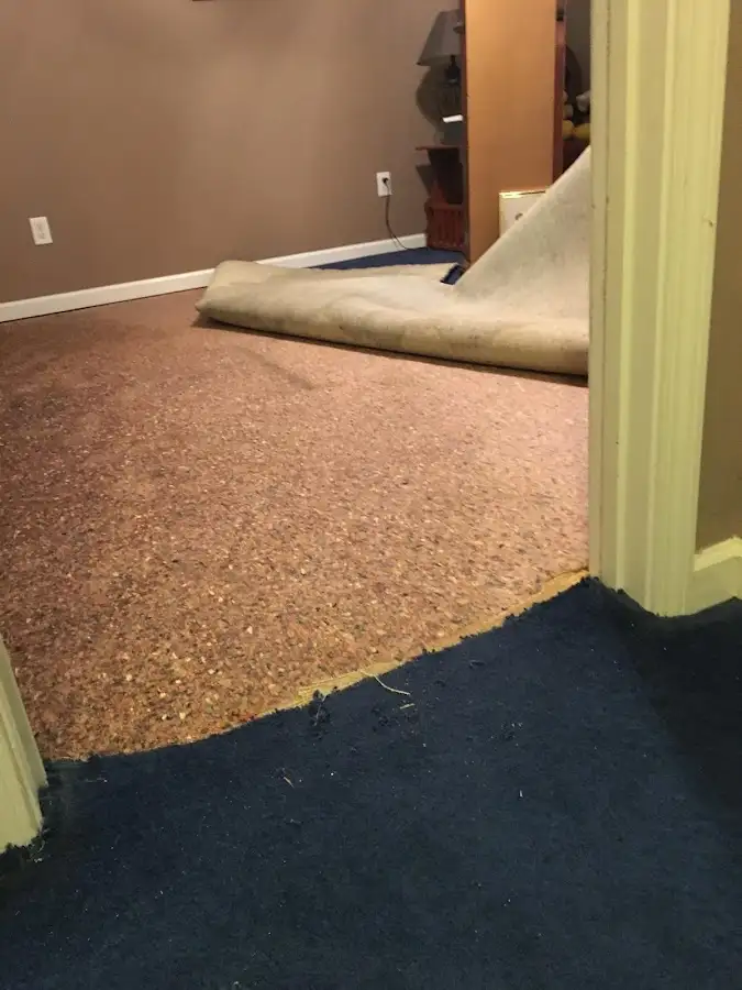 Carpet pad removal revealing water damage during Water Mitigation Services in Shelton