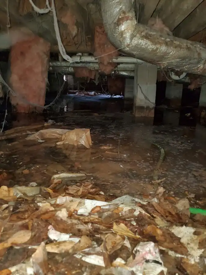 Crawl space flood assessment for Leak Detection & Repair in Shelton